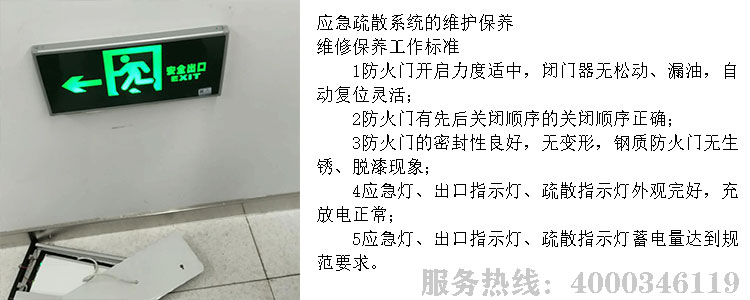 小黄片软件免费下载維保